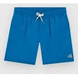 Vert 14" Kids Boardshorts mary poppins