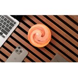 Gingko LED namizna svetilka v temni naravni barvi s steklenim senčilom (višina 13 cm) Polar Cloud – | Shoptok.si