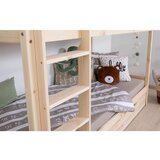 MID.YOU Pograd Rene, Bor, Masivna | Shoptok.si