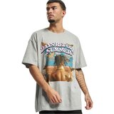 Mister Tee Days Before Summer Oversize T-shirt gray | shoptok.hr
