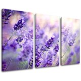 Slike na platnu cveće | ePonuda.com