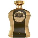 Afnan Highness X 100 ml parfemska voda za muškarce Cijene