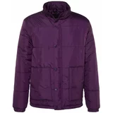Trendyol Winter Jacket - Purple - Basic