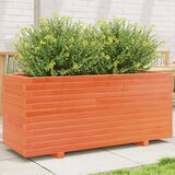 Maison Chic Vrtno cvetlično korito - Cvetlični Lonec voščeno 110x40x49,5 cm trdna borovina, (21789901) | Shoptok.si