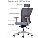 Hanah home Set 2 kancelarijske stolice Lumbar 126 Grey | ePonuda.com