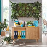 Leitz Držalo za lepilni trak Cosy + lepilni trak, modro | Shoptok.si