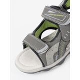 Shelvt Boys' sandals in gray | Shoptok.si