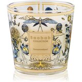 Baobab Collection My First Baobab Tomorrowland dišeča sveča 190 g | Shoptok.si