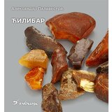 Evoluta Aleksandar Palavestra - Ćilibar Cene