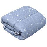 DEKOR DOM Jorgan flanel microfiber 200x200 ( 039389 ) Cene