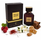 Camara Trojan Power parfemska voda za muškarce 100 ml | shoptok.hr