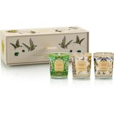 Baobab Collection Tomorrowland poklon set 1 kom Cijene