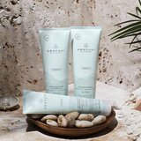 Paul Mitchell Awapuhi Wild Ginger Repair Nourishing Shampoo hranilni šampon za obnovo in krepitev las 250 ml | Shoptok.si