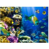  Tapeta - Underwater paradise 350x270 | shoptok.hr
