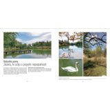 The Slovenia JEZERA SLOVENIJE, Naj 101 jezero – posodobljena izdaja (slovenski jezik) | Shoptok.si