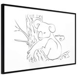  Poster - Resting Koala 60x40 Cijene
