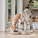 OYOY Living Design Keramička zdjela za hranu za ljubimce za pse &amp;oslash; 17 cm Sia &amp;ndash; Slike