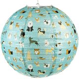 REX International Best in Show - Abažur - Best in Show | Eponuda.com