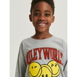 Reserved - Predimenzionirana majica dugih rukava SmileyWorld® - light grey Cijene