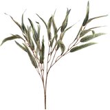 Mondex okrasna veja plastika Viridis 80cm zelena 1kos, (5000329498) Cene
