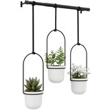 Umbra CVETLIČNI LONČEK | Shoptok.si