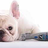 Dremel PET set za njegu noktiju | shoptok.hr