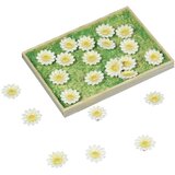 RAYHER Okraski: marjetice, 1,5 cm, 16 kom., (20633956) | Shoptok.si