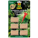 COMPO Gnojilne paličice za zelene rastline in palme Compo (30 kosov) Cene