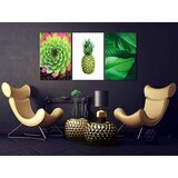  Slika - Treasures of the Tropics (3 Parts) 120x60 | shoptok.hr