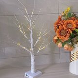 Venisymlis Velikonočni Dekor, (Toplo Bela) Časovnik Za Velikonočno Drevo Na Baterije, Svetleča Breza Z Led Lučkami, (22068188) Cene