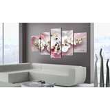  Slika - Pink Glow 100x50 | shoptok.hr