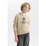 Defacto Boy Printed Hooded Thick Sweatshirt Cene