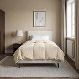  Zimska posteljnina Šonerisan krema 155 x 220 cm Mikrovlakna, (5000284244) | Shoptok.si