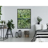  Poster - Forest from a Bird's Eye View 40x60 | shoptok.hr