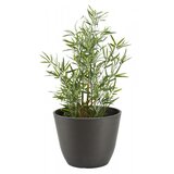 Olimp Sport Baštenska saksija Ø41xV33 siva | ePonuda.com