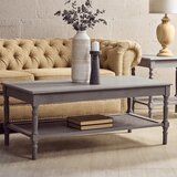 Premier Housewares Siva klubska mizica 60x120 cm Heritage – | Shoptok.si