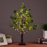  Drevo z lučkami,evkaliptus 62cm, (21624972) | Shoptok.si
