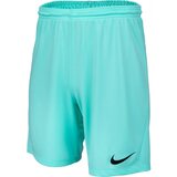 Nike DRI-FIT PARK 3 Muške kratke hlače, tirkiz, veličina | shoptok.hr