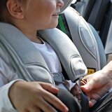 Besafe ostali dodatki za avtosedež držalo za pas črna 10020916 | Shoptok.si
