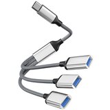 INF Razdelilnik USB zvezdišča Type-C s 3 priključki Silver, (21732178) Cene