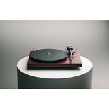 Pro-ject Projekt Debut Carbon Evo 2 vinsko rdec s mat gramofon Pick-it MM Evo | Shoptok.si
