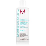 Moroccanoil Scalp Balancing Conditioner 250 ml balzam za lase vse vrste las za ženske | Shoptok.si