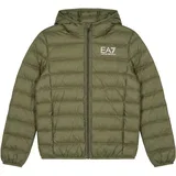 Puhovke TRAIN CORE ID BOY DOWN LIGHT HOODED JACKE Kaki