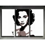  Ručno slikane slike na platnu na platnu POP Art Elizabeth Taylor 3-dijelna () | shoptok.hr