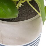 Ixia Umetna rastlina (višina 39 cm) Leaves – | Shoptok.si