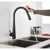  ili crna kuhinjska slavina na dodir | Špina EYN BS16111<span> - </span>Črna Cijene