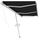  Prostostoječa ročno zložljiva tenda 600x300 cm antracitna | Shoptok.si