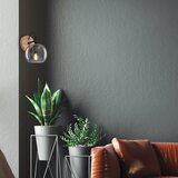BRILONER zidno svetlo kyro 1xE14/10W/230V | Eponuda.com