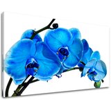  Slike na platnu cveće (moderne slike na platnu) | ePonuda.com