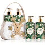 VIVIAN GRAY Natural Christmas Green Tea & Citrus darilni set (za roke) Cene